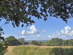 Photo 8- click for photo gallery